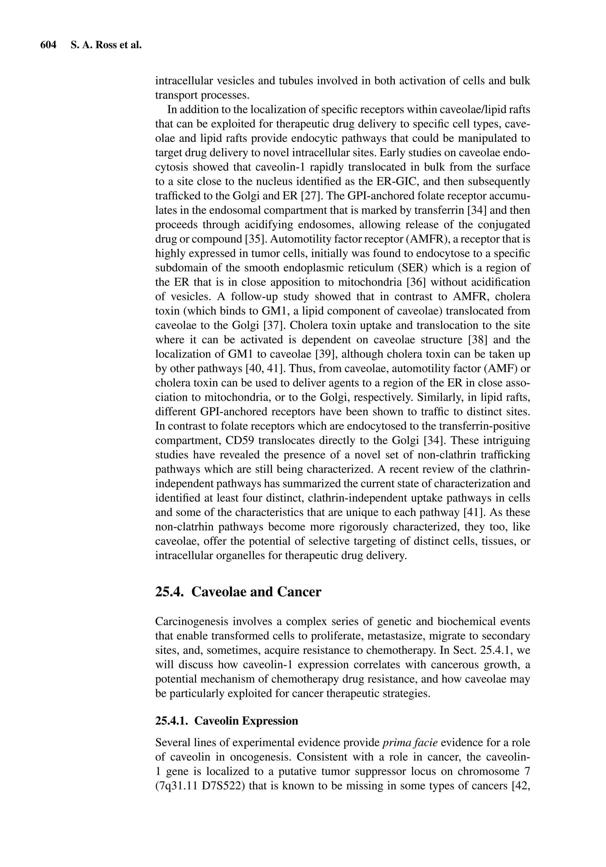 Drug Absorption Studies  2008
