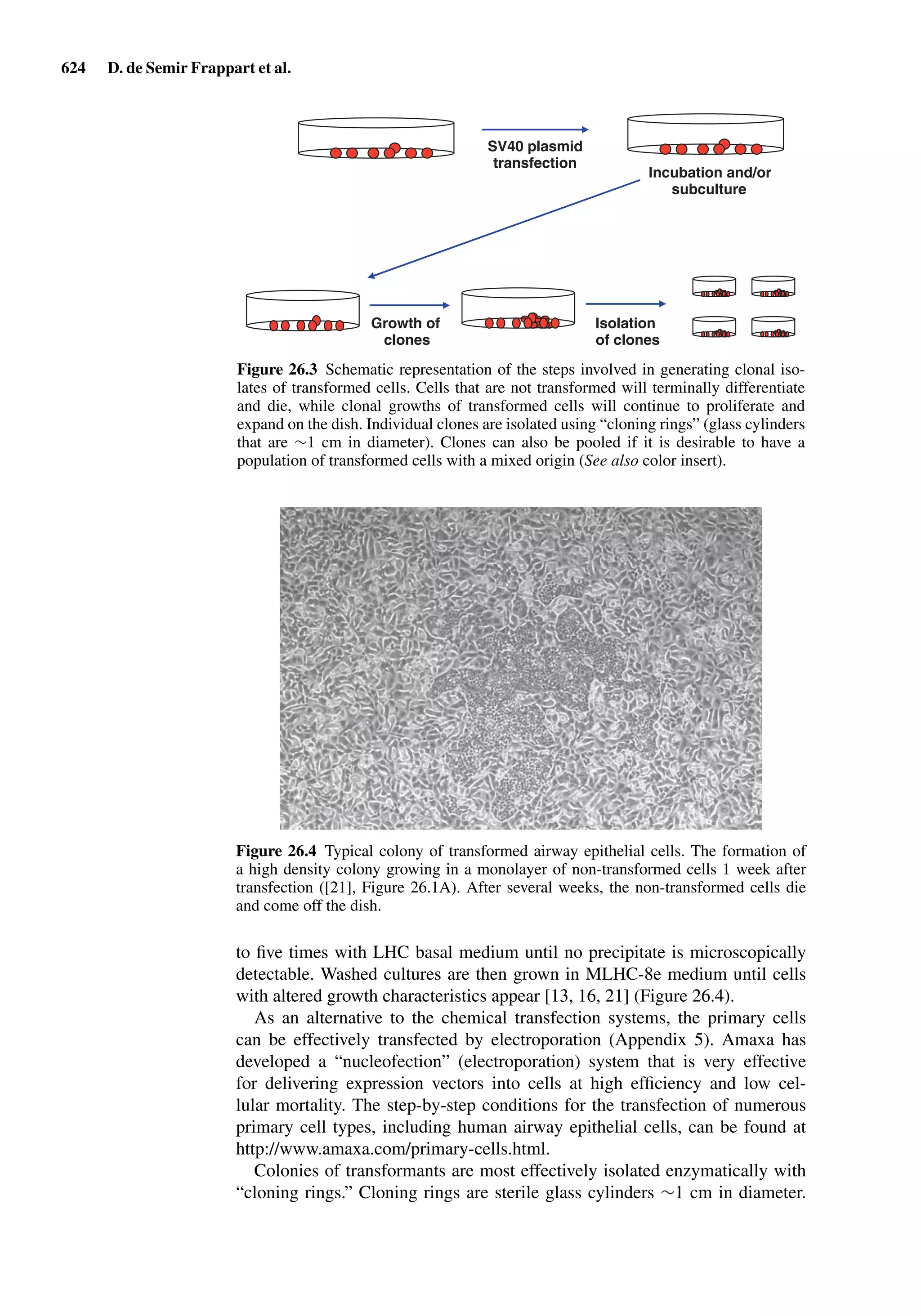 Drug Absorption Studies  2008