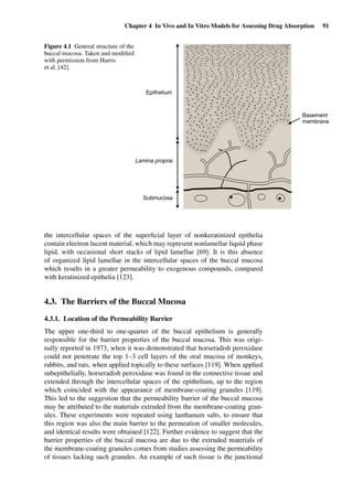 Chapter 4 In Vivo and In Vitro Models for Assessing Drug Absorption 91
Epithelium
Lamina propria
Submucosa
Basement
membrane
Figure 4.1 General structure of the
buccal mucosa. Taken and modiﬁed
with permission from Harris
et al. [42].
the intercellular spaces of the superﬁcial layer of nonkeratinized epithelia
contain electron lucent material, which may represent nonlamellar liquid phase
lipid, with occasional short stacks of lipid lamellae [69]. It is this absence
of organized lipid lamellae in the intercellular spaces of the buccal mucosa
which results in a greater permeability to exogenous compounds, compared
with keratinized epithelia [123].
4.3. The Barriers of the Buccal Mucosa
4.3.1. Location of the Permeability Barrier
The upper one-third to one-quarter of the buccal epithelium is generally
responsible for the barrier properties of the buccal mucosa. This was origi-
nally reported in 1973, when it was demonstrated that horseradish peroxidase
could not penetrate the top 1–3 cell layers of the oral mucosa of monkeys,
rabbits, and rats, when applied topically to these surfaces [119]. When applied
subepithelially, horseradish peroxidase was found in the connective tissue and
extended through the intercellular spaces of the epithelium, up to the region
which coincided with the appearance of membrane-coating granules [119].
This led to the suggestion that the permeability barrier of the buccal mucosa
may be attributed to the materials extruded from the membrane-coating gran-
ules. These experiments were repeated using lanthanum salts, to ensure that
this region was also the main barrier to the permeation of smaller molecules,
and identical results were obtained [122]. Further evidence to suggest that the
barrier properties of the buccal mucosa are due to the extruded materials of
the membrane-coating granules comes from studies assessing the permeability
of tissues lacking such granules. An example of such tissue is the junctional
 