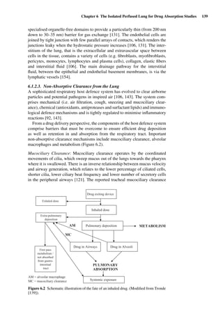 Chapter 6 The Isolated Perfused Lung for Drug Absorption Studies 139
specialised organelle-free domains to provide a particularly thin (from 200 nm
down to 30–35 nm) barrier for gas exchange [131]. The endothelial cells are
joined by tight junction with few parallel arrays of contacts, which renders the
junctions leaky when the hydrostatic pressure increases [106, 131]. The inter-
stitium of the lung, that is the extracellular and extravascular space between
cells in the tissue, contains a variety of cells (e.g. ﬁbroblasts, myoﬁbroblasts,
pericytes, monocytes, lymphocytes and plasma cells), collagen, elastic ﬁbers
and interstitial ﬂuid [106]. The main drainage pathway for the interstitial
ﬂuid, between the epithelial and endothelial basement membranes, is via the
lymphatic vessels [154].
6.1.2.3. Non-Absorptive Clearance from the Lung
A sophisticated respiratory host defence system has evolved to clear airborne
particles and potential pathogens in inspired air [106, 143]. The system com-
prises mechanical (i.e. air ﬁltration, cough, sneezing and mucociliary clear-
ance), chemical (antioxidants, antiproteases and surfactant lipids) and immuno-
logical defence mechanisms and is tightly regulated to minimise inﬂammatory
reactions [92, 143].
From a drug delivery perspective, the components of the host defence system
comprise barriers that must be overcome to ensure efﬁcient drug deposition
as well as retention in and absorption from the respiratory tract. Important
non-absorptive clearance mechanisms include mucociliary clearance, alveolar
macrophages and metabolism (Figure 6.2).
Mucociliary Clearance: Mucociliary clearance operates by the coordinated
movements of cilia, which sweep mucus out of the lungs towards the pharynx
where it is swallowed. There is an inverse relationship between mucus velocity
and airway generation, which relates to the lower percentage of ciliated cells,
shorter cilia, lower ciliary beat frequency and lower number of secretory cells
in the peripheral airways [121]. The reported tracheal mucociliary clearance
Drug exiting device
Inhaled dose
Exhaled dose
Pulmonary deposition
Extra-pulmonary
deposition
METABOLISM
Drug in Airways Drug in Alveoli
Systemic exposure
PULMONARY
ABSORPTION
First pass
metabolism /
not absorbed
from gastro-
intestinal
tract
AM
MC
AM = alveolar macrophage
MC = mucociliary clearance
Figure 6.2 Schematic illustration of the fate of an inhaled drug. (Modiﬁed from Tronde
[139]).
 