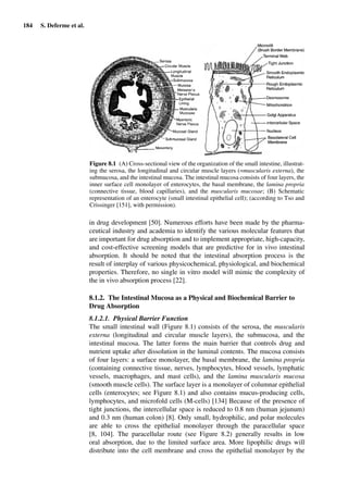 184 S. Deferme et al.
Figure 8.1 (A) Cross-sectional view of the organization of the small intestine, illustrat-
ing the serosa, the longitudinal and circular muscle layers (=muscularis externa), the
submucosa, and the intestinal mucosa. The intestinal mucosa consists of four layers, the
inner surface cell monolayer of enterocytes, the basal membrane, the lamina propria
(connective tissue, blood capillaries), and the muscularis mucosae; (B) Schematic
representation of an enterocyte (small intestinal epithelial cell); (according to Tso and
Crissinger [151], with permission).
in drug development [50]. Numerous efforts have been made by the pharma-
ceutical industry and academia to identify the various molecular features that
are important for drug absorption and to implement appropriate, high-capacity,
and cost-effective screening models that are predictive for in vivo intestinal
absorption. It should be noted that the intestinal absorption process is the
result of interplay of various physicochemical, physiological, and biochemical
properties. Therefore, no single in vitro model will mimic the complexity of
the in vivo absorption process [22].
8.1.2. The Intestinal Mucosa as a Physical and Biochemical Barrier to
Drug Absorption
8.1.2.1. Physical Barrier Function
The small intestinal wall (Figure 8.1) consists of the serosa, the muscularis
externa (longitudinal and circular muscle layers), the submucosa, and the
intestinal mucosa. The latter forms the main barrier that controls drug and
nutrient uptake after dissolution in the luminal contents. The mucosa consists
of four layers: a surface monolayer, the basal membrane, the lamina propria
(containing connective tissue, nerves, lymphocytes, blood vessels, lymphatic
vessels, macrophages, and mast cells), and the lamina muscularis mucosa
(smooth muscle cells). The surface layer is a monolayer of columnar epithelial
cells (enterocytes; see Figure 8.1) and also contains mucus-producing cells,
lymphocytes, and microfold cells (M-cells) [134] Because of the presence of
tight junctions, the intercellular space is reduced to 0.8 nm (human jejunum)
and 0.3 nm (human colon) [8]. Only small, hydrophilic, and polar molecules
are able to cross the epithelial monolayer through the paracellular space
[8, 104]. The paracellular route (see Figure 8.2) generally results in low
oral absorption, due to the limited surface area. More lipophilic drugs will
distribute into the cell membrane and cross the epithelial monolayer by the
 