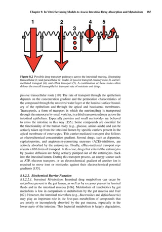 Chapter 8 In Vitro Screening Models to Assess Intestinal Drug Absorption and Metabolism 185
Figure 8.2 Possible drug transport pathways across the intestinal mucosa, illustrating
transcellular (1) and paracellular (2) modes of passive transport, transcytosis (3), carrier-
mediated transport (4), and efﬂux transport (5). A combination of these routes often
deﬁnes the overall transepithelial transport rate of nutrients and drugs.
passive transcellular route [10]. The rate of transport through the epithelium
depends on the concentration gradient and the permeation characteristics of
the compound through the unstirred water layer at the luminal surface bound-
ary of the epithelium and through the apical and basolateral membranes.
Transcytosis, a form of transport in which the nutrient/drug is transported
through the enterocyte by small vesicles, is a third transport pathway across the
intestinal epithelium. Especially proteins and small nucleotides are believed
to cross the intestine in this way [155]. Some compounds are essential for
the functionality of the human body (e.g., glucose, amino acids) and can be
actively taken up from the intestinal lumen by speciﬁc carriers present in the
apical membrane of enterocytes. This carrier-mediated transport also follows
an electrochemical concentration gradient. Several drugs, such as dopamine,
cephalosporins, and angiotensin-converting enzymes (ACE)-inhibitors, are
actively absorbed by the enterocytes. Finally, efﬂux-mediated transport rep-
resents a ﬁfth form of transport. In this case, drugs that entered the enterocytes
by passive diffusion are being actively pumped out of the enterocytes, back
into the intestinal lumen. During this transport process, an energy source such
as ATP, electron transport, or an electrochemical gradient of another ion is
required to move ions or molecules against their electrochemical potential
gradients [155].
8.1.2.2. Biochemical Barrier Function
8.1.2.2.1. Intestinal Metabolism: Intestinal drug metabolism can occur by
microﬂora present in the gut lumen, as well as by enzymes present in luminal
ﬂuids and in the intestinal mucosa [166]. Metabolism of xenobiotics by gut
microﬂora is low in comparison to metabolism by the gut mucosa and liver
[62]. However, the intestinal microﬂora (e.g., Bacteroides and Biﬁdobacteria)
may play an important role in the ﬁrst-pass metabolism of compounds that
are poorly or incompletely absorbed by the gut mucosa, especially in the
lower parts of the intestine. This bacterial metabolism is largely degradative,
 