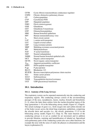 236 C. Ehrhardt et al.
CFTR Cystic ﬁbrosis transmembrane conductance regulator
COPD Chronic obstructive pulmonary disease
CP Carboxypeptidase
CYP Cytochrome P450
DPP Dipeptidyl peptidase
FMO Flavin monooxygenase
GSH Glutathione
GST Glutathione S-transferase
GTP Glutamyltranspeptidase
HBE Human bronchial epithelium
HIV Human immunodeﬁciency virus
Isc Short-circuit current
LAT L-amino acid transporter
LCC Liquid-covered culture
LRP Lung resistance protein
MRP Multidrug resistance-associated protein
MT Methyltransferase
NAT N-acetyl transferase
NEP Neutral endopeptidase
NHBE Normal human bronchial epithelial cells
OCT Organic cation transporter
OCTN Novel organic cation transporter
Papp Apparent permeability coefﬁcient
PEPT Di/Tri-peptide transporter
P-gp P-glycoprotein
Rh123 Rhodamine 123
RT-PCR Reverse transcription-polymerase chain reaction
SLC Solute carrier protein
SULT Sulfotransferase
TEER Transepithelial electrical resistance
UGT UDP-glucuronosyl transferase
10.1. Introduction
10.1.1. Anatomy of the Lung Airways
The respiratory system can be separated anatomically into the conducting and
respiratory regions. The conducting airways consist of the air-transmitting
passages of the nose, nasopharynx, larynx, trachea, bronchi and bronchioles
[1, 2], where the latter three entities form the tracheo-bronchial region of the
lung (generations 1–16 in the bifurcating airway model; Figure 6.1, Chap.6).
The actual exchange of gases (i.e., fresh oxygen into and carbon dioxide out
of the body) occurs across the distal lung respiratory epithelium, comprising
the alveolar ducts and saccules (i.e., the alveoli, generations 17–23 in the
bifurcating airway model; Figure 6.1, Chap. 6). The main function of the
conducting airways is to act as conduit for air movement and in addition
to provide ﬁltration, warming and humidiﬁcation of inhaled air. Specialised
extra-pulmonary parts of the conducting system also serve other functions, for
example the nose with the sense of smell, the pharynx in alimentation and the
larynx in phonation [3].
 
