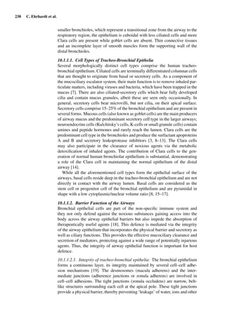 238 C. Ehrhardt et al.
smaller bronchioles, which represent a transitional zone from the airway to the
respiratory region, the epithelium is cuboidal with less ciliated cells and more
Clara cells are present while goblet cells are absent. Thin connective tissues
and an incomplete layer of smooth muscles form the supporting wall of the
distal bronchioles.
10.1.1.1. Cell Types of Tracheo-Bronchial Epithelia
Several morphologically distinct cell types comprise the human tracheo-
bronchial epithelium. Ciliated cells are terminally differentiated columnar cells
that are thought to originate from basal or secretory cells. As a component of
the mucociliary escalator system, their main function is to remove inhaled par-
ticulate matters, including viruses and bacteria, which have been trapped in the
mucus [7]. There are also ciliated-secretory cells which bear fully developed
cilia and contain mucus granules, albeit these are seen only occasionally. In
general, secretory cells bear microvilli, but not cilia, on their apical surface.
Secretory cells comprise 15–25% of the bronchial epithelium and are present in
several forms. Mucous cells (also known as goblet cells) are the main producers
of airway mucus and the predominant secretory cell type in the larger airways;
neuroendocrine cells (Kulchitsky’s cells, K-cells or small granule cells) contain
amines and peptide hormones and rarely reach the lumen. Clara cells are the
predominant cell type in the bronchioles and produce the surfactant apoproteins
A and B and secretory leukoprotease inhibitors [3, 8–13]. The Clara cells
may also participate in the clearance of noxious agents via the metabolic
detoxiﬁcation of inhaled agents. The contribution of Clara cells to the gen-
eration of normal human bronchiolar epithelium is substantial, demonstrating
a role of the Clara cell in maintaining the normal epithelium of the distal
airway [14].
While all the aforementioned cell types form the epithelial surface of the
airways, basal cells reside deep in the tracheo-bronchial epithelium and are not
directly in contact with the airway lumen. Basal cells are considered as the
stem cell or progenitor cell of the bronchial epithelium and are pyramidal in
shape with a low cytoplasmic/nuclear volume ratio [8, 15–17].
10.1.1.2. Barrier Function of the Airways
Bronchial epithelial cells are part of the non-speciﬁc immune system and
they not only defend against the noxious substances gaining access into the
body across the airway epithelial barriers but also impede the absorption of
therapeutically useful agents [18]. This defence is mediated via the integrity
of the airway epithelium that incorporates the physical barrier and secretory as
well as ciliary functions. This provides the effective mucociliary clearance and
secretion of mediators, protecting against a wide range of potentially injurious
agents. Thus, the integrity of airway epithelial function is important for host
defence.
10.1.1.2.1. Integrity of tracheo-bronchial epithelia: The bronchial epithelium
forms a continuous layer, its integrity maintained by several cell–cell adhe-
sion mechanisms [19]. The desmosomes (macula adherens) and the inter-
mediate junctions (adherence junctions or zonula adherens) are involved in
cell–cell adhesions. The tight junctions (zonula occludens) are narrow, belt-
like structures surrounding each cell at the apical pole. These tight junctions
provide a physical barrier, thereby preventing ‘leakage’ of water, ions and other
 
