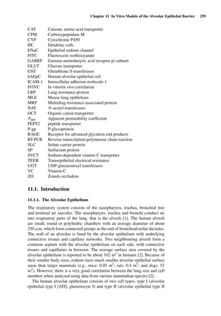 Chapter 11 In Vitro Models of the Alveolar Epithelial Barrier 259
CAT Cationic amino acid transporter
CPM Carboxypeptidase M
CYP Cytochrome P450
DC Dendritic cells
ENaC Epithelial sodium channel
FITC Fluorescein isothiocyanate
GABRP Gamma-aminobutyric acid receptor pi subunit
GLUT Glucose transporter
GST Glutathione S-transferases
hAEpC Human alveolar epithelial cell
ICAM-1 Intercellular adhesion molecule-1
IVIVC In vitro/in vivo correlation
LRP Lung resistance protein
MLE Mouse lung epithelium
MRP Multidrug resistance-associated protein
NAT N-acetyl transferases
OCT Organic cation transporter
Papp Apparent permeability coefﬁcient
PEPT2 peptide transporter
P-gp P-glycoprotein
RAGE Receptor for advanced glycation end products
RT-PCR Reverse transcription-polymerase chain reaction
SLC Solute carrier protein
SP Surfactant protein
SVCT Sodium-dependent vitamin C transporter
TEER Transepithelial electrical resistance
UGT UDP-glucuronosyl transferases
VC Vitamin C
ZO Zonula occludens
11.1. Introduction
11.1.1. The Alveolar Epithelium
The respiratory system consists of the nasopharynx, trachea, bronchial tree
and terminal air saccules. The nasopharynx, trachea and bronchi conduct air
into respiratory parts of the lung, that is the alveoli [1]. The human alveoli
are small, round or polyhedric chambers with an average diameter of about
250 µm, which form connected groups at the end of bronchoalveolar ductules.
The wall of an alveolus is lined by the alveolar epithelium with underlying
connective tissues and capillary networks. Two neighbouring alveoli form a
common septum with the alveolar epithelium on each side, with connective
tissues and capillaries in between. The average surface area covered by the
alveolar epithelium is reported to be about 102 m2 in humans [2]. Because of
their smaller body sizes, rodents have much smaller alveolar epithelial surface
areas than larger mammals (e.g., mice: 0.05 m2; rats: 0.4 m2; and dogs: 52
m2). However, there is a very good correlation between the lung size and cell
numbers when analysed using data from various mammalian species [2].
The human alveolar epithelium consists of two cell types: type I (alveolar
epithelial type I [ATI], pneumocyte I) and type II (alveolar epithelial type II
 