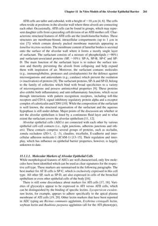 Chapter 11 In Vitro Models of the Alveolar Epithelial Barrier 261
ATII cells are taller and cuboidal, with a height of ∼10 µm [4, 6]. The cells
often reside at positions in the alveolar wall where three alveoli are connecting
each other. Occasionally, ATII cells can be found in groups, which may repre-
sent daughter cells from a preceding cell division of an ATII mother cell. Char-
acteristic structural features of ATII cells are the (multi)lamellar bodies. These
structures are membrane-bound, intracellular compartments (up to 1 µm in
size [7]) which contain densely packed membrane materials appearing as
lamellae in cross sections. The membrane content of lamellar bodies is secreted
onto the surface of the alveolar wall where it forms a mostly single layer
of surfactant. The surfactant consists of a mixture of phospholipids (∼90%)
and surfactant-associated proteins (SP, ∼10%): SP-A, SP-B, SP-C and SP-
D. The main function of the surfactant layer is to reduce the surface ten-
sion and thereby preventing the alveoli from collapsing and help expand
them with inspiration of air. Moreover, the surfactant contains molecules
(e.g., immunoglobulins, proteases and ceruloplasmin) for the defence against
microorganisms and antioxidants (e.g., catalase) which prevent the oxidation
(= inactivation) of proteins [8]. The surfactant proteins, SP-A and SP-D, belong
to the family of collectins which bind with broad speciﬁcities to a variety
of microorganisms and possess antimicrobial properties [9]. These proteins
also exhibit both inﬂammatory and anti-inﬂammatory functions, which occur
through interactions with pattern recognition receptors, including toll-like
receptors and CD14, signal inhibitory regulatory protein alpha and a receptor
complex of calreticulin and CD91 [10]. While the composition of the surfactant
is well known, the structural organisation of the surfactant and the aqueous
hypophase is still under debate. Major points of the discussion are whether or
not the alveolar epithelium is lined by a continuous ﬂuid layer and to what
extent the surfactant covers the alveolar epithelium [11, 12].
Alveolar epithelial cells (AECs) are connected with each other by various
epithelial cell–cell contacts (i.e., tight junctions, adherens junctions and oth-
ers). These contacts comprise several groups of proteins, such as occludin,
zonula occludens (ZO-1, -2, -3), claudins, tricellulin, E-cadherin and inter-
cellular adhesion molecule-1 (ICAM-1) [13–15]. Their regulation and inter-
play, which has inﬂuence on epithelial barrier properties, however, is largely
unknown to date.
11.1.1.1. Molecular Markers of Alveolar Epithelial Cells
While morphological features of AECs are well characterised, only few mole-
cules have been identiﬁed which can be used as clear signatures for the respec-
tive cell type. These markers are summarised in the following paragraphs. The
best marker for AT II cells is SP-C, which is exclusively expressed in this cell
type. All other SP, such as SP-D, are also expressed in cells of the bronchial
epithelium or even other epithelial cells of the body [16].
There is still some discordance about markers for ATI cells [17, 18]. Vari-
eties of glycocalyx appear to be expressed in ATI versus ATII cells, which
can be distinguished by the binding of speciﬁc lectins. Lycopersicon esculen-
tum lectin, for example, appears to adhere speciﬁcally to the apical plasma
membrane of ATI cells [19, 20]. Other lectin markers that have been reported
in AEC typing are Ricinus communis agglutinin, Erythrina cristagalli lectin,
soybean lectin and Bauhinia purpurea agglutinin (all for the ATI phenotype),
 