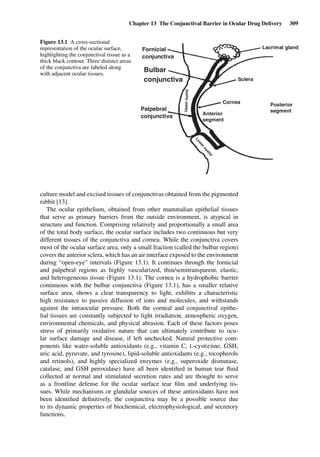 Chapter 13 The Conjunctival Barrier in Ocular Drug Delivery 309
Fornicial
conjunctiva
Bulbar
conjunctiva
Palpebral
conjunctiva
Sclera
Cornea
Lacrimal gland
Uppereyelid
Low
ereyelid
Anterior
segment
Posterior
segment
Figure 13.1 A cross-sectional
representation of the ocular surface,
highlighting the conjunctival tissue as a
thick black contour. Three distinct areas
of the conjunctiva are labeled along
with adjacent ocular tissues.
culture model and excised tissues of conjunctivas obtained from the pigmented
rabbit [13].
The ocular epithelium, obtained from other mammalian epithelial tissues
that serve as primary barriers from the outside environment, is atypical in
structure and function. Comprising relatively and proportionally a small area
of the total body surface, the ocular surface includes two continuous but very
different tissues of the conjunctiva and cornea. While the conjunctiva covers
most of the ocular surface area, only a small fraction (called the bulbar region)
covers the anterior sclera, which has an air interface exposed to the environment
during “open-eye” intervals (Figure 13.1). It continues through the fornicial
and palpebral regions as highly vascularized, thin/semitransparent, elastic,
and heterogeneous tissue (Figure 13.1). The cornea is a hydrophobic barrier
continuous with the bulbar conjunctiva (Figure 13.1), has a smaller relative
surface area, shows a clear transparency to light, exhibits a characteristic
high resistance to passive diffusion of ions and molecules, and withstands
against the intraocular pressure. Both the corneal and conjunctival epithe-
lial tissues are constantly subjected to light irradiation, atmospheric oxygen,
environmental chemicals, and physical abrasion. Each of these factors poses
stress of primarily oxidative nature that can ultimately contribute to ocu-
lar surface damage and disease, if left unchecked. Natural protective com-
ponents like water-soluble antioxidants (e.g., vitamin C, L-cyst(e)ine, GSH,
uric acid, pyruvate, and tyrosine), lipid-soluble antioxidants (e.g., tocopherols
and retinols), and highly specialized enzymes (e.g., superoxide dismutase,
catalase, and GSH peroxidase) have all been identiﬁed in human tear ﬂuid
collected at normal and stimulated secretion rates and are thought to serve
as a frontline defense for the ocular surface tear ﬁlm and underlying tis-
sues. While mechanisms or glandular sources of these antioxidants have not
been identiﬁed deﬁnitively, the conjunctiva may be a possible source due
to its dynamic properties of biochemical, electrophysiological, and secretory
functions.
 