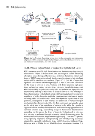 316 H. J. Gukasyan et al.
PIGMENTED
MALE
LIQUID COVERED
CONDITION
CULTURED CELLS ARE
PLACED UNDER
AIR-INTERFACE
CONDITION FROM DAY 4
AIR INTERFACE
CONDITION
COATED FILTERS
CULTURE MEDIUM
RESUSPEND CELLS IN
GROWTH MEDIUM
SEED ON TRANSWELLS®
40 µm CELL
STRAINER
FILTRATION
WASH
CELLS
EXCISE EYEBALL
FROM SOCKET &
SEPARATE THE
CONJUNCTIVA
TREATMENT WITH A
PROTEASE SOLUTION
HARVEST
CELLS
TR
EATM
EN
T
W
ITH
A
D
N
ase
SO
LU
TIO
N
SACRIFICE
Figure 13.3 A ﬂowchart illustrating various steps for the preparation and maintenance
of primary rabbit conjunctival epithelial cell layers, cultured under liquid-covered and
air-interfaced conditions (See also color insert).
13.4.2. Primary Culture Models of Conjunctival Epithelial Cell Layers
Cell cultures are a useful, high throughput means for evaluating drug transport
mechanisms, impact of formulations, and physiological factors inﬂuencing
absorption across biological barriers (e.g., epithelia). Functional primary cul-
tures of RCEC under conventional liquid-covered or advanced air-interfaced
culture (AIC) conditions are available (Figure 13.3) [26, 46]. Conjunctival
epithelial cell cultures exhibit morphological as well as functional similarities
to the tissue in vitro or in vivo. Cultured cells form functional tight junc-
tions and express various enzymes (e.g., esterases, phosphodiesterases, and
GSH metabolizing enzymes) and transporters (for amino acids, dipeptides, and
nucleosides), similarly to those found in tissues in vitro or in vivo. Primary iso-
lates of conjunctival epithelial cells achieve differentiated phenotypes and form
multilayer of cells, displaying epithelial characteristics with isles of mucin-
secreting goblet cell populations. Culture time-dependent organization of tight
junctions, development of cell polarity, and expression of various transport
mechanisms have been reported [26, 46]. Test compounds are typically added
to the apical side of the multilayer of cultured cells, while the cumulative
appearance in the basolateral compartment is measured using appropriate mea-
surement schemes (e.g., radioactivity assays or ﬂuorescence determinations
depending on the tags on the drugs of interest). Evaluation of in vitro sys-
tem integrity is performed through measuring electrical resistance across the
multilayered cells cultured on permeable supports (e.g., TranswellTM systems)
using specially engineered voltage-sensing and current-passing electrodes,
attached to a portable voltohmeter (e.g., MilliCell device, Millipore Corp.,
Billerica, MA, or EVOM device, World Precision Instruments, Sarasota, FL).
 