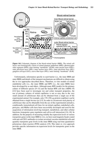 Chapter 14 Inner Blood–Retinal Barrier: Transport Biology and Methodology 323
Figure 14.1 Schematic diagram of the blood–retinal barrier (BRB). The retinal cell
layers seen histologically consist of retinal pigment epithelium (RPE); photoreceptor
outer segments (POS); outer limiting “membrane” (OLM); outer nuclear layer (ONL);
outer plexiform layer (OPL); inner nuclear layer (INL); inner plexiform layer (IPL);
ganglion cell layer (GCL); nerve ﬁber layer (NFL); inner limiting “membrane” (ILM).
Unfortunately, information speciﬁc to each barrier (i.e., the inner BRB and
outer BRB) and details of the transport mechanisms are difﬁcult to obtain using
the in vivo approaches described above. Therefore, in vitro models of retinal
endothelial cells (i.e., the inner BRB) and RPE (i.e., the outer BRB) have
been developed by us and others. Although many RPE models for the primary
culture of different species [9–11] and the human RPE cell line (ARPE-19)
[12] have been used to investigate ion and solute transport properties, the
use of primary cultures of retinal capillaries is not so easy due to the very
small amount of cells/tissues that can be obtained from a single eye of the
experimental animal. For example, only 170–250 µg protein (capillary) can be
obtained from a single bovine eye [13]. In order to circumvent such paucity of
cells/tissues that can be obtainable from the eye of the experimental animal(s),
conditionally immortalized cell lines for rat retinal capillary endothelial cells,
pericytes, and Müller cells have been successfully developed and used for the
acquisition of information involving transport, metabolism, and other cellular
functions (transporter gene regulation and cell-to-cell interaction) [14–18]. In
addition, for the purpose of measuring reliably the expression levels of various
transporter genes in the inner BRB in vivo, we have used magnetic beads coated
with anti-rat CD31 antibodies to isolate rat retinal vascular endothelial cells and
quantify transporter gene levels in the inner BRB using real-time quantitative
polymerase chain reaction (PCR) analysis [19]. This latter ex vivo approach
provides speciﬁc information on expression levels for transporter genes in the
inner BRB.
 