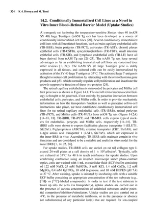 324 K.-i. Hosoya and M. Tomi
14.2. Conditionally Immortalized Cell Lines as a Novel in
Vitro Inner Blood–Retinal Barrier Model (Uptake Studies)
A transgenic rat harboring the temperature-sensitive Simian virus 40 (tsA58
SV 40) large T-antigen (tsA58 Tg rat) has been developed as a source of
conditionally immortalized cell lines [20]. Several conditionally immortalized
cell lines with differentiated functions, such as brain capillary endothelial cells
(TR-BBB), brain pericytes (TR-PCT), astrocytes (TR-AST), choroid plexus
epithelial cells (TR-CSFB), syncytiotrophoblasts (TR-TBT), small intestine
epithelial cells (TR-SIE), and lymphatic endothelial cells (TR-LE) have all
been derived from tsA58 Tg rats [21–23]. The tsA58 Tg rats have several
advantages as far as establishing immortalized cell lines are concerned (see
other reviews [1, 24]). The tsA58 SV 40 large T-antigen gene is stably
expressed in all tissues, and cultured cells can be easily immortalized by
activation of the SV 40 large T-antigen at 33◦C. The activated large T-antigen is
thought to induce cell proliferation by interacting with the retinoblastoma gene
products and p53, which normally regulate cell proliferation and inactivate the
growth-suppressive function of these two proteins [24].
The retinal capillary endothelium is surrounded by pericytes and Müller cell
foot processes as shown in Figure 14.1. The overall retinal microvascular biol-
ogy is thought to be governed, if not entirely, by paracrine interaction between
endothelial cells, pericytes, and Müller cells. In order to provide mechanistic
information on how the transporters function as well as paracrine cell-to-cell
interactions take place, we have established conditionally immortalized cell
lines for rat retinal capillary endothelial cells (TR-iBRB), retinal pericytes
(TR-rPCT), and Müller cells (TR-MUL) from tsA58 Tg rats (Figure 14.2A)
[14–16, 18]. TR-iBRB, TR-rPCT, and TR-MUL cells express typical mark-
ers for endothelial, perycyte, and Müller cells, respectively [14–16]. TR-
iBRB cells were shown to express facilitative glucose transporter 1 (GLUT1,
Slc2A1), P-glycoprotein (ABCB1), creatine transporter (CRT, Slc6A8), and
L-type amino acid transporter 1 (LAT1, Slc7A5), which are expressed in
the inner BRB in vivo. Accordingly, TR-iBRB cells maintain certain in vivo
functions and are considered to be a suitable and useful in vitro model for the
inner BRB [1, 14, 25, 26].
For uptake studies, TR-iBRB cells are seeded on rat tail collagen type I-
coated 24-well plates at a cell density of 1 × 105cells/cm2. Typically, cells
are cultured at 33◦C for 48 h to reach conﬂuence for uptake studies. Upon
conﬁrming conﬂuence using an inverted microscope under phase-contract
optics, cells are washed with 1 mL extracellular ﬂuid (ECF) buffer consisting
of 122 mM NaCl, 25 mM NaHCO3, 3 mM KCl, 1.4 mM CaCl2, 1.2 mM
MgSO4, 0.4 mM K2HPO4, 10 mM D-glucose, and 10 mM HEPES (pH 7.4)
at 37 ◦C. After washing, uptake is initiated by incubating cells with a suitable
ECF buffer containing an appropriate concentration of the test substrate (e.g.,
[3H]- or [14C]-labeled compounds). In order to test if the test substrate is
taken up into the cells via transporter(s), uptake studies are carried out in
the presence of various concentrations of unlabeled substrates and/or poten-
tial competitors/inhibitors/stimulators. Uptake studies are also carried out at
4◦C, in the presence of metabolic inhibitors, or in the presence or absence
(or substitutions) of any particular ion(s) that are required for ion-coupled
 