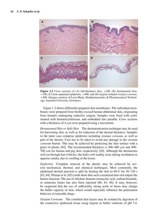 14 U. F. Schaefer et al.
Figure 1.2 Cross sections of (A) full-thickness skin, ×100; (B) dermatomed skin,
×100; (C) heat-separated epidermis, ×400; and (D) trypsin isolated stratum corneum,
×400. (Images courtesy of Leon Muijs, Biopharmaceutics & Pharmaceutical Technol-
ogy, Saarland University, Germany).
Figure 1.2 shows differently prepared skin membranes. The individual mem-
branes were prepared from freshly excised human abdominal skin, originating
from females undergoing reductive surgery. Samples were ﬁxed with xylol,
stained with hematoxylin/eosin, and embedded into parafﬁn. Cross sections
with a thickness of 4 µm were prepared using a microtome.
Dermatomed Skin or Split Skin The dermatomisation technique may be used
for harvesting skin, as well as for reduction of the dermal thickness. Samples
in the latter case comprise epidermis including stratum corneum, as well as
part of the dermis. Care has to be taken to avoid any damage to the stratum
corneum barrier. This may be achieved by protecting the skin surface with a
piece of plastic [82]. The recommended thickness is 200–400 µm and 400–
700 µm for human and pig skin, respectively [20]. Although the dermatome
will cut through hair follicles, the holes will readily close during incubation in
aqueous media, due to swelling of the tissue.
Epidermis Complete removal of the dermis may be achieved by sev-
eral mechanical, thermal, and chemical techniques. Most commonly, the
epidermal–dermal junction is split by heating the skin to 60 C for 30–120 s
[83, 84]. Pitman et al. [85] could show that such a treatment does not impair the
barrier function. The use of ethylene diamine tetraacetic acid, sodium bromide,
or ammonia fumes has also been reported [80, 83, 86]. It may, however,
be suspected that the use of sufﬁciently strong acids or bases may change
the buffer capacity of skin, which would especially inﬂuence the penetration
behavior of ionizable drugs.
Stratum Corneum The corniﬁed skin layers may be isolated by digestion of
the connective epidermal tissue using trypsin in buffer solutions of pH 7.4.
 