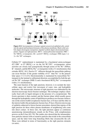Drug Absorption Studies  2008