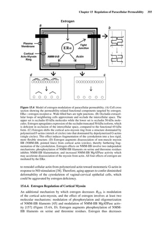 Drug Absorption Studies  2008