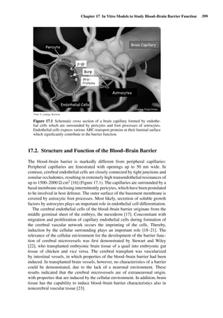 Drug Absorption Studies  2008