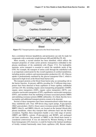 Drug Absorption Studies  2008