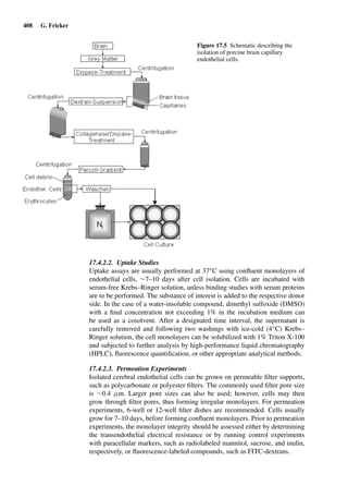 Drug Absorption Studies  2008