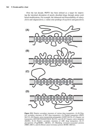 Drug Absorption Studies  2008