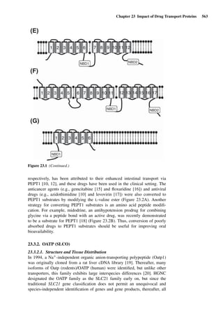 Drug Absorption Studies  2008