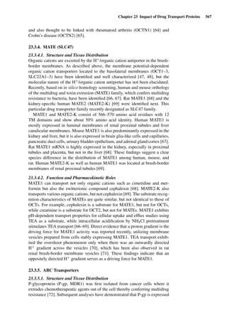 Drug Absorption Studies  2008