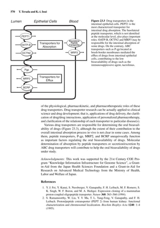 Drug Absorption Studies  2008
