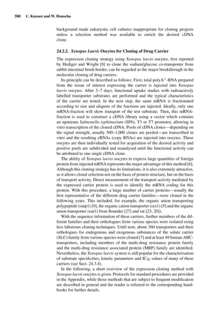 Drug Absorption Studies  2008