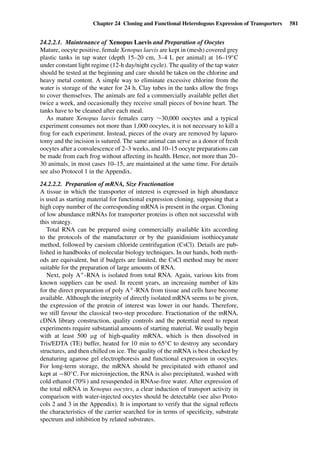 Drug Absorption Studies  2008