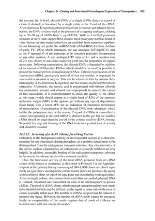 Drug Absorption Studies  2008