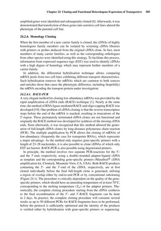Drug Absorption Studies  2008
