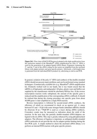 Drug Absorption Studies  2008