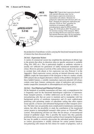 Drug Absorption Studies  2008