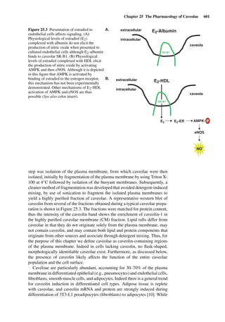 Drug Absorption Studies  2008