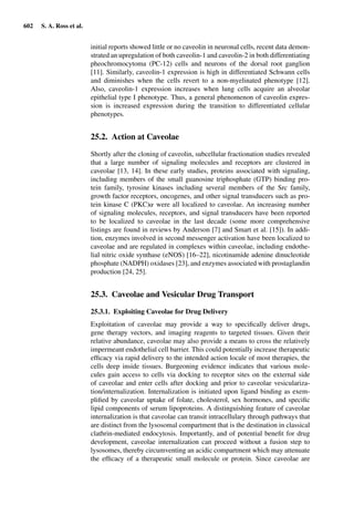 Drug Absorption Studies  2008