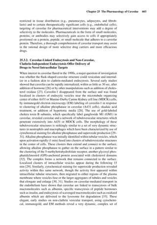 Drug Absorption Studies  2008