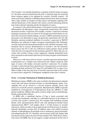 Drug Absorption Studies  2008