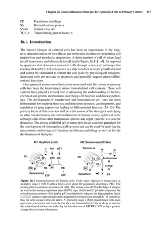 Drug Absorption Studies  2008