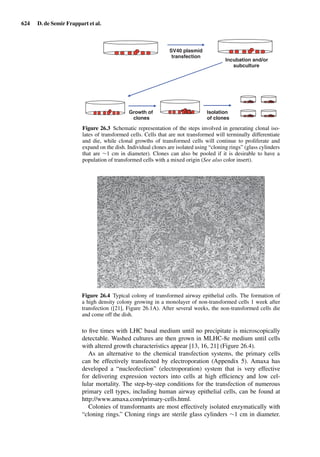 Drug Absorption Studies  2008