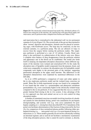 56 B. Grifﬁn and C. O’Driscoll
C
B IL
P
Figure 2.9 The chronically isolated intestinal loop model. Key: (B) blood catheter; (C)
head-to-tail connection of the intestine; (IL) internal loop with intact blood supply and
innervation; and (P) perfusion tubes (Adapted from Poelma and Tukker [130]).
and innervation but is externalised to the abdominal wall via two permanent
cannulas (6–8 cm) (Figure 2.9). The severed ends of the gut are then rejoined to
allow ‘normal’ digestion and absorption. Animals must be placed in restrain-
ing cages, with food/water access. The loop may be connected, via the two
external cannulas, to a perfusion pump. The rats are allowed 2–4 days to
recover from the surgery before starting the perfusion studies. The single-
pass perfusion is performed at a rate of 1.0 ml/min. Usually, blood sam-
pling is also performed via catheterisation of the inferior vena cava. Hence
a complete mass balance of drug disappearance from the perfusion solution
and appearance rate in the blood can be established. The model also lends
itself to studying site-dependent absorption characterises where different seg-
ments of the intestine were isolated and externalised [87]. In this study the
absorption rates of lipophilic model compounds from the jejunum, ileum, and
colon were comparable; in contrast, the absorption rates for hydrophilic model
compounds were higher in the proximal parts of the intestine, suggesting
preferential absorption in the upper small intestine. The differences in the
absorption characteristics were explained by anatomical differences in the
GIT [88].
Lu et al. (1992) performed a comparison of water and solute uptake in
the in situ single-pass perfusion model and the isolated loops conscious rat
model. Water ﬂux in both experimental set-ups was found to be comparable.
It was found that the solute (i.e. acetaminophen and phenytoin) membrane
permeabilities (Pm) were consistently higher in the chronically isolated loops
compared to the in situ perfusion. It was suggested that this was as a result of
greater luminal ﬂuid mixing in the in vivo system. A key advantage of the
in vivo approach was that each animal can act as its own control for drug
absorption studies.
A number of cannulated conscious rat models involving insertion of a duode-
nal cannula for intra-duodenal dosing, portal vein cannulation for pre-hepatic
dosing/sampling, and systemic vein (e.g. vena cava) cannulation for post-
hepatic sampling or i.v. dosing have been described [89–91]. Cannulation of the
portal vein facilitates determination of the fraction of drug removed by the liver
(Eh) by comparison of dose normalized plasma proﬁles following either pre-
hepatical dosing (i.e. ... intra-portal vein (i.p.v.)) or post-hepatical dosing (i.e.
intravenous (i.v.)). These models generally do not involve chronically isolating
an intestinal segment, and as such do not facilitate a mechanistic examination
of the drug absorption process, that is cannot be used to estimate fa directly.
 