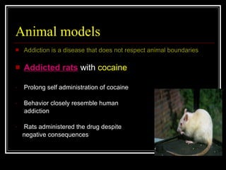 Drug Abuse PPT by nirav | PPT