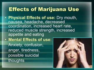 Effects of Marijuana Use Physical Effects of use:  Dry mouth, nausea, headache, decreased coordination, increased heart rate, reduced muscle strength, increased appetite and eating Mental Effects of use: Anxiety, confusion,  anger, tiredness,  possible suicidal  thoughts 