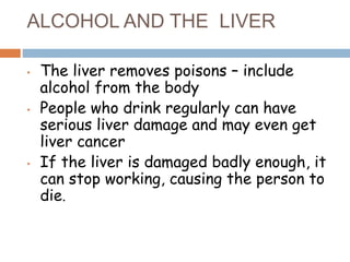 ALCOHOL AND THE LIVER
• The liver removes poisons – include
alcohol from the body
• People who drink regularly can have
serious liver damage and may even get
liver cancer
• If the liver is damaged badly enough, it
can stop working, causing the person to
die.
 