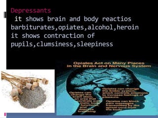 Depressants
it shows brain and body reactios
barbiturates,opiates,alcohol,heroin
it shows contraction of
pupils,clumsiness,sleepiness
 