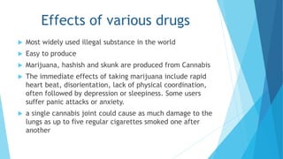Effects of various drugs 
 Most widely used illegal substance in the world 
 Easy to produce 
 Marijuana, hashish and skunk are produced from Cannabis 
 The immediate effects of taking marijuana include rapid 
heart beat, disorientation, lack of physical coordination, 
often followed by depression or sleepiness. Some users 
suffer panic attacks or anxiety. 
 a single cannabis joint could cause as much damage to the 
lungs as up to five regular cigarettes smoked one after 
another 
 