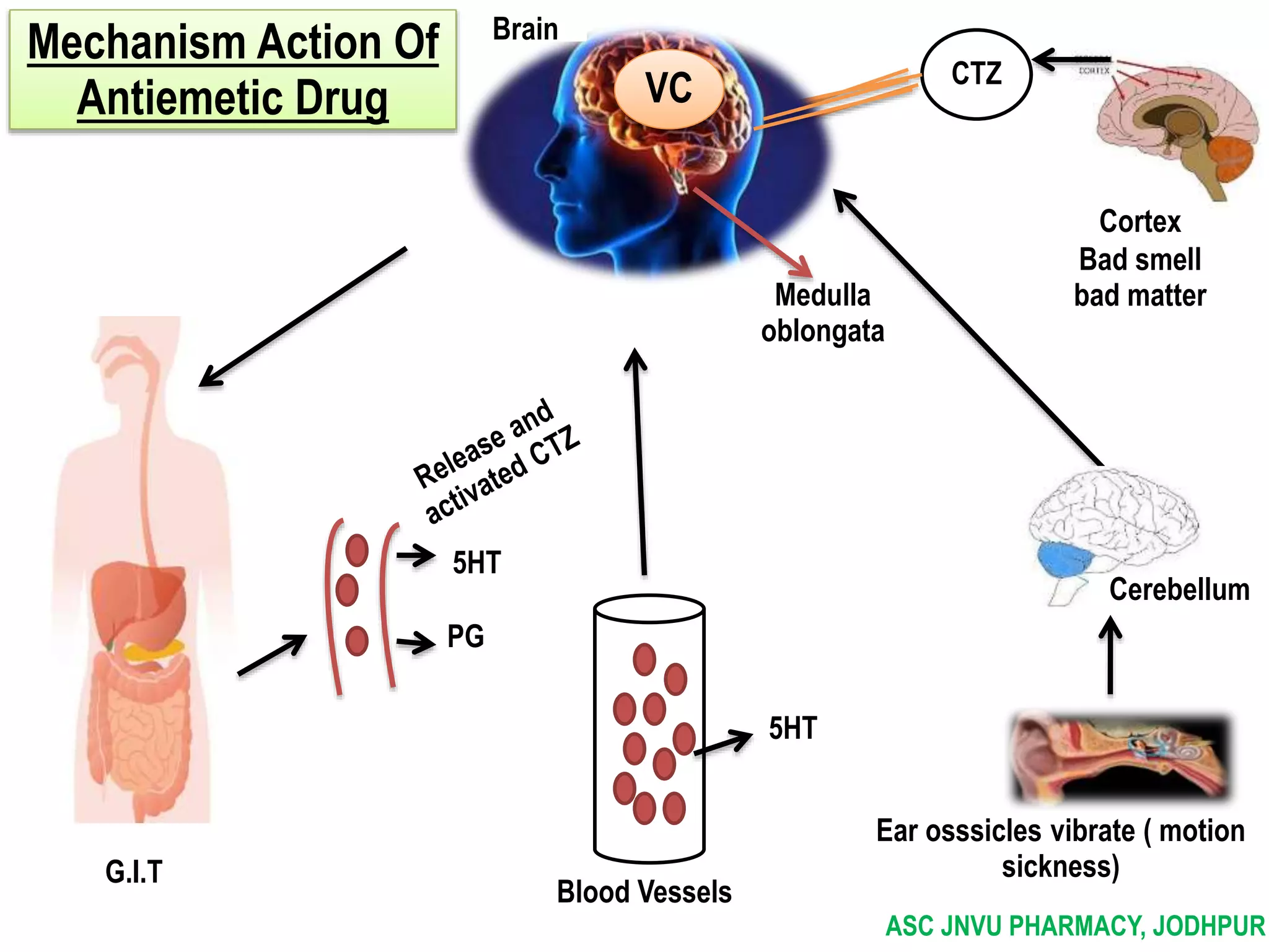 Drug acting on digestive system | PPTX