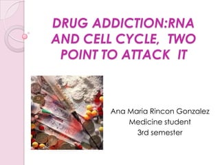 DRUG ADDICTION:RNA AND CELL CYCLE,  TWO POINT TO ATTACK  IT  Ana MariaRinconGonzalez Medicine student 3rd semester 