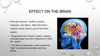 EFFECT ON THE BRAIN
• All drugs of abuse - nicotine, cocaine,
marijuana, and others - effect the brain's
"reward" circuit, which is part of the limbic
system.
• Drugs hijack this "reward" system, causing
unusually large amounts of dopamine to flood
the system.
• This flood of dopamine is what causes the
"high" or euphoria associated with drug
abuse.
16
 