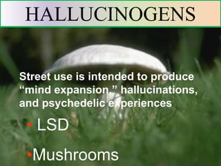 Street use is intended to produce
“mind expansion,” hallucinations,
and psychedelic experiences
HALLUCINOGENS
• LSD
•Mushrooms
 