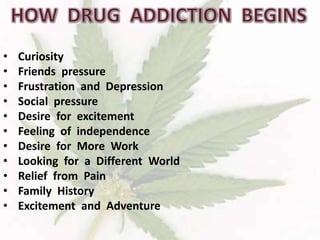 • Curiosity
• Friends pressure
• Frustration and Depression
• Social pressure
• Desire for excitement
• Feeling of independence
• Desire for More Work
• Looking for a Different World
• Relief from Pain
• Family History
• Excitement and Adventure
 