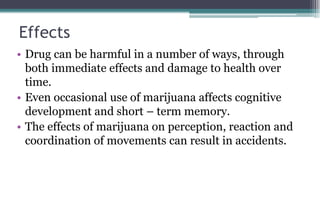 Effects
• Drug can be harmful in a number of ways, through
both immediate effects and damage to health over
time.
• Even occasional use of marijuana affects cognitive
development and short – term memory.
• The effects of marijuana on perception, reaction and
coordination of movements can result in accidents.
 