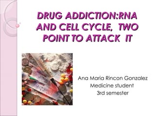 DRUG ADDICTION:RNA AND CELL CYCLE,  TWO POINT TO ATTACK  IT   Ana Maria Rincon Gonzalez Medicine student  3rd semester 