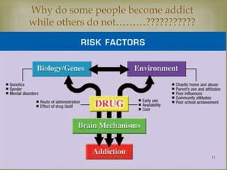 Why do some people become addict 
while others do not………??????????? 
 
Mohsin Aziz 11 
 